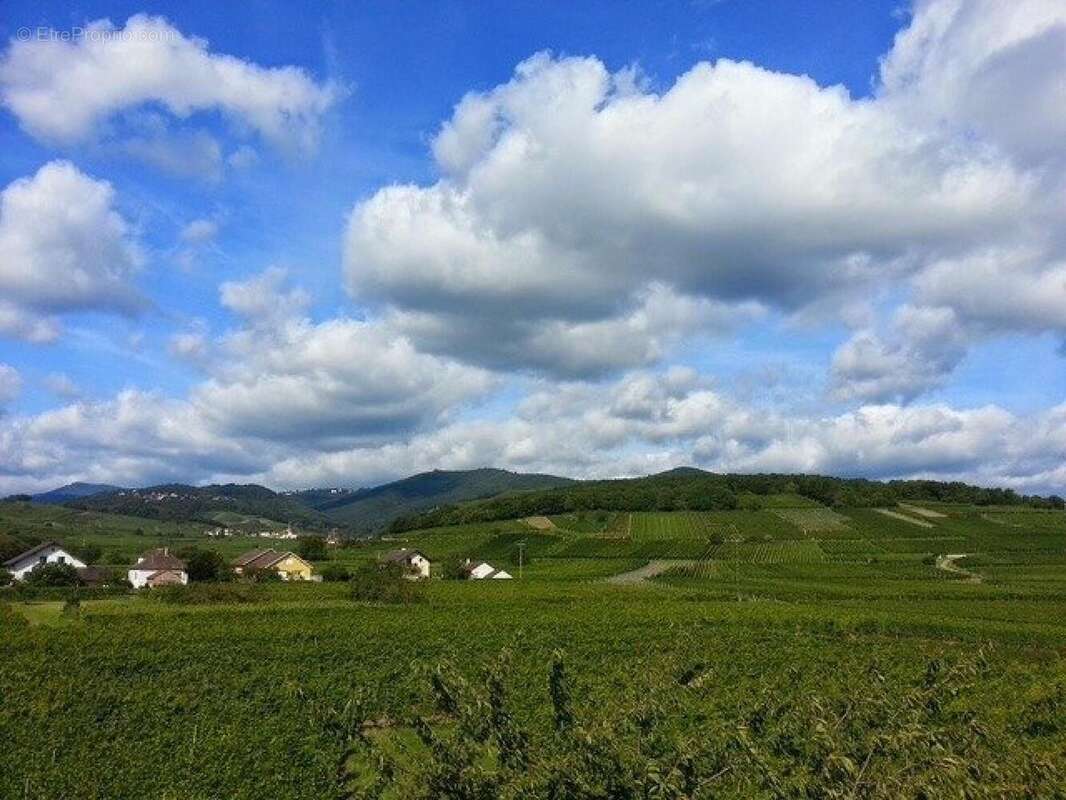 Photo 2 - Appartement à INGERSHEIM