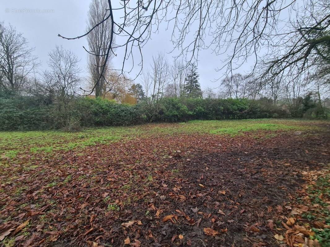 Terrain à WACQUINGHEN