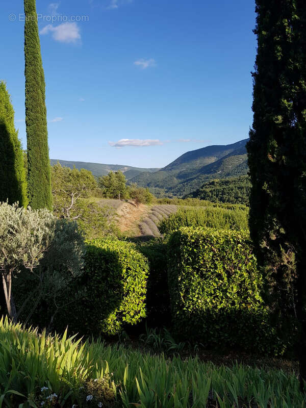 Maison à VAISON-LA-ROMAINE