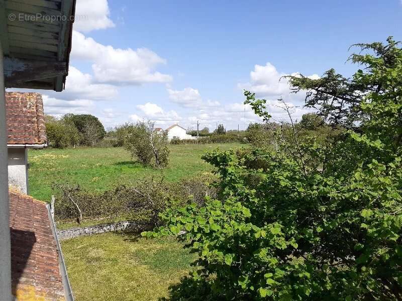 Propriété à rénover sans voisins proches et 5000m² de terrain - photo 13
