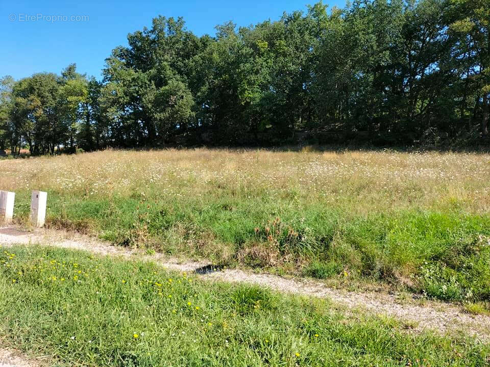 Terrain constructible Mauvezin(32120) 655m² - photo 10