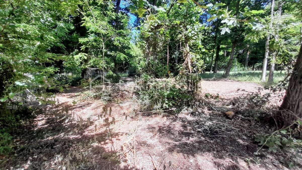 Terrain à CHAMPAGNE-SUR-SEINE