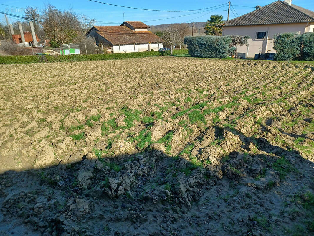 Terrain à SAINT-PAUL-SUR-SAVE