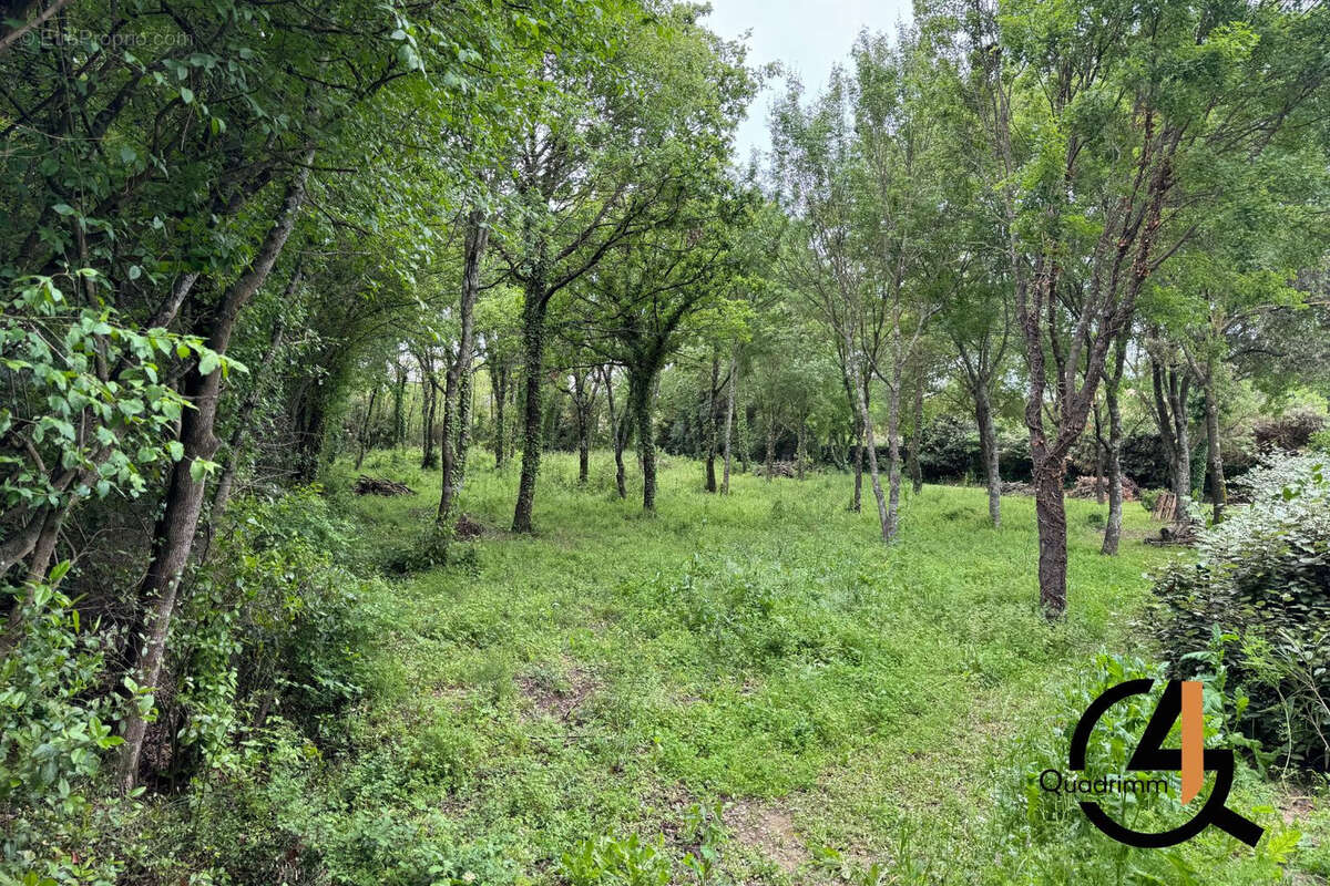 Terrain à ASSAS