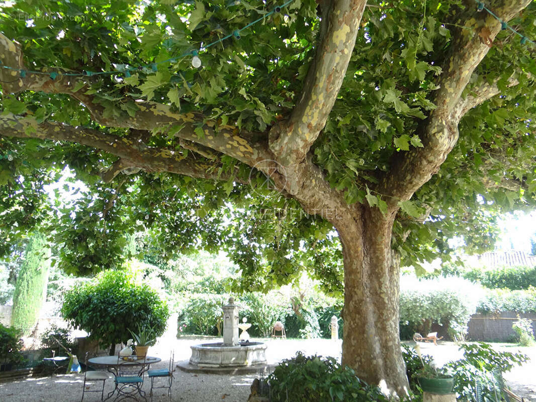 Maison à SAINT-REMY-DE-PROVENCE