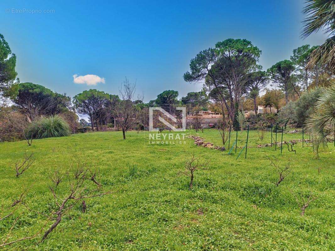 URGENT - A FAYENCE Villa sur terrain d'1 ha environ - Piscine - photo 3