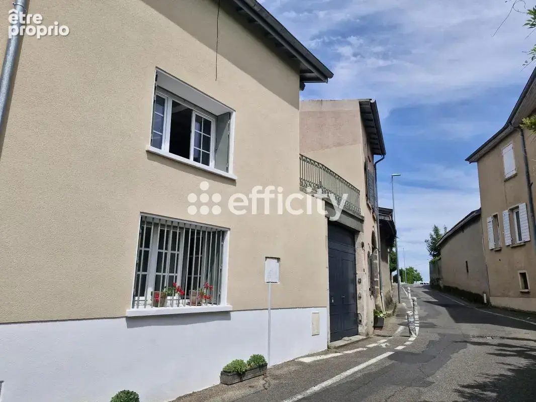 Maison 9 pièces 374 m² à vendre à Millery (69390) - photo 10