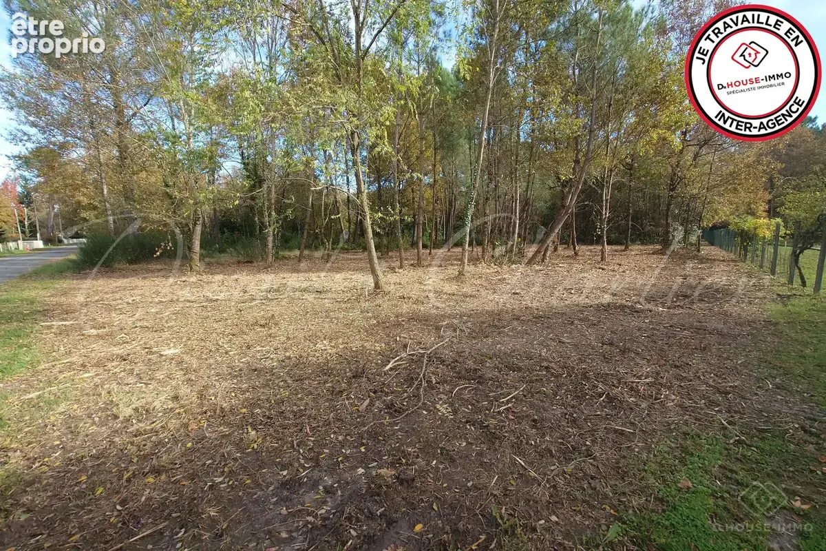 Terrain 3 700 m² à vendre à Saint-Sauveur (33250) - photo 9