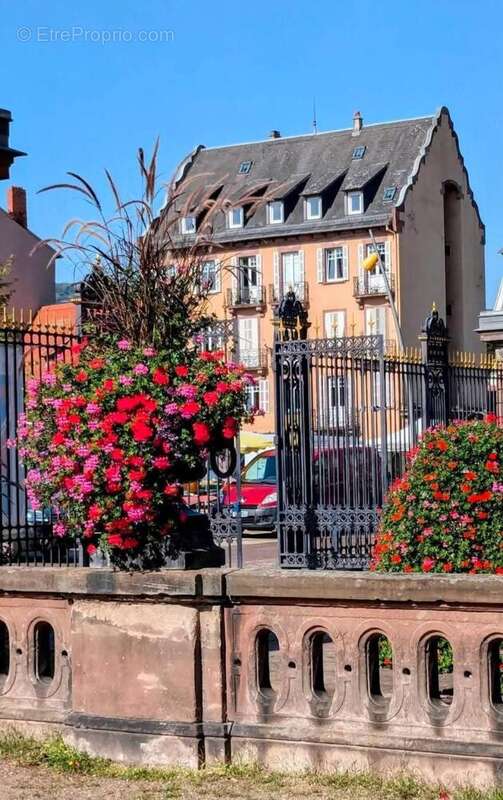 Photo 8 - Appartement à SAVERNE