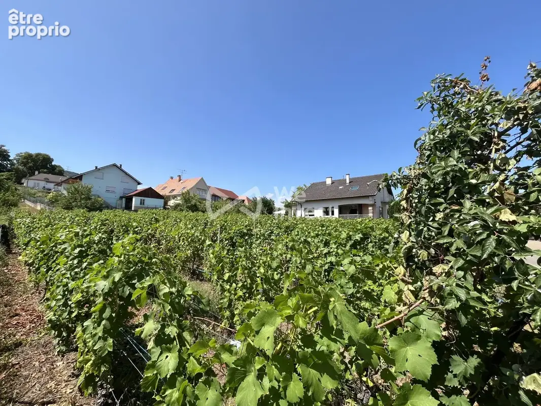 Terrain 1 000 m² à vendre à Wettolsheim (68920) - photo 5