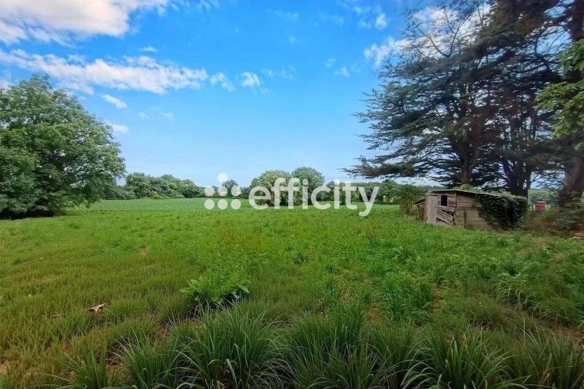 Maison à MAUVES-SUR-LOIRE