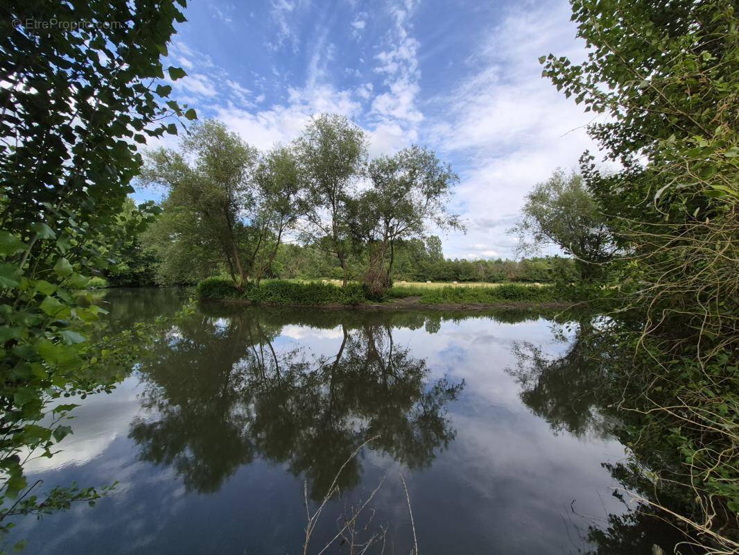 Terrain à CHAMPAGNE
