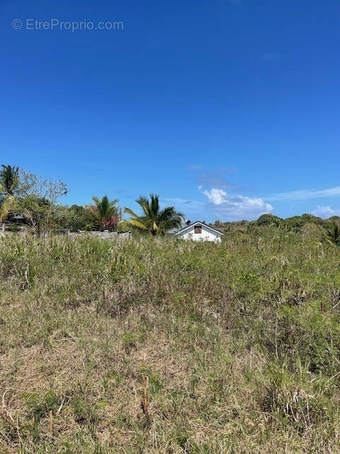 Terrain à ANSE-BERTRAND