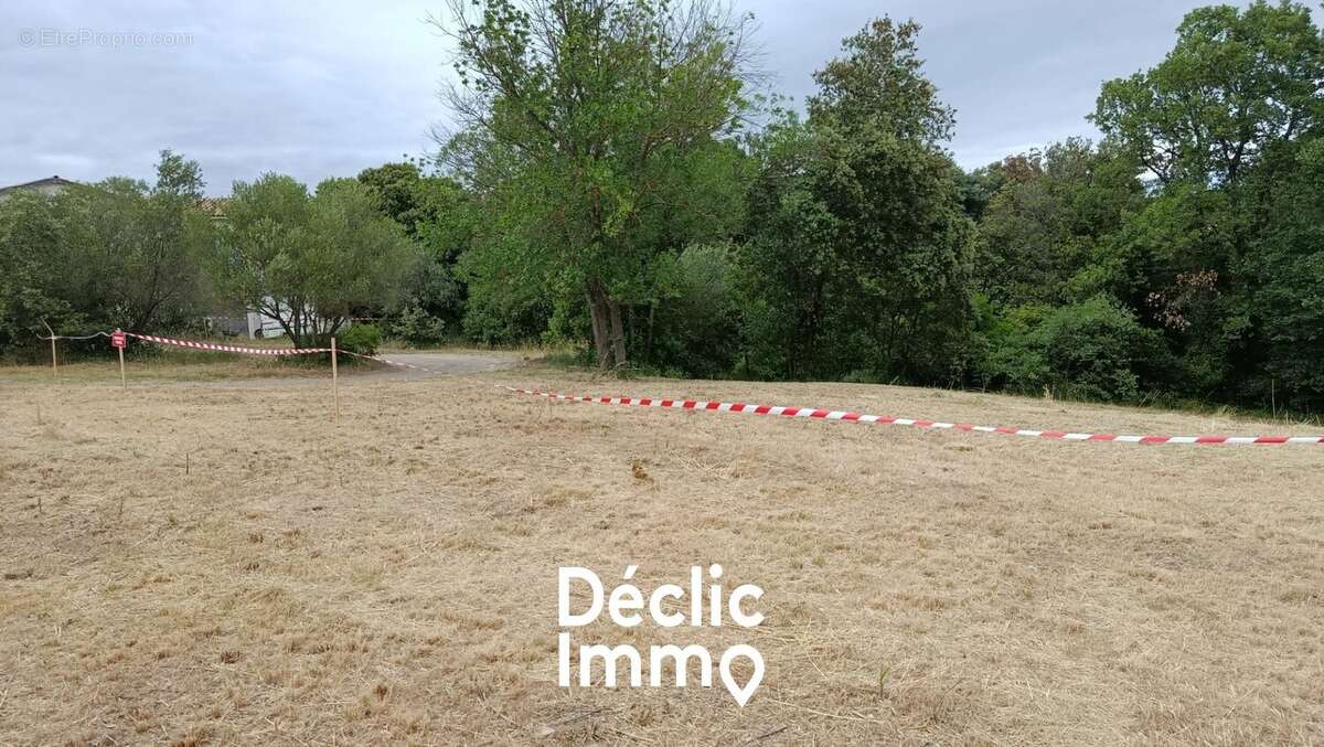Terrain à NEFFIES