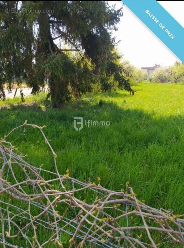 Terrain à HOLTZWIHR