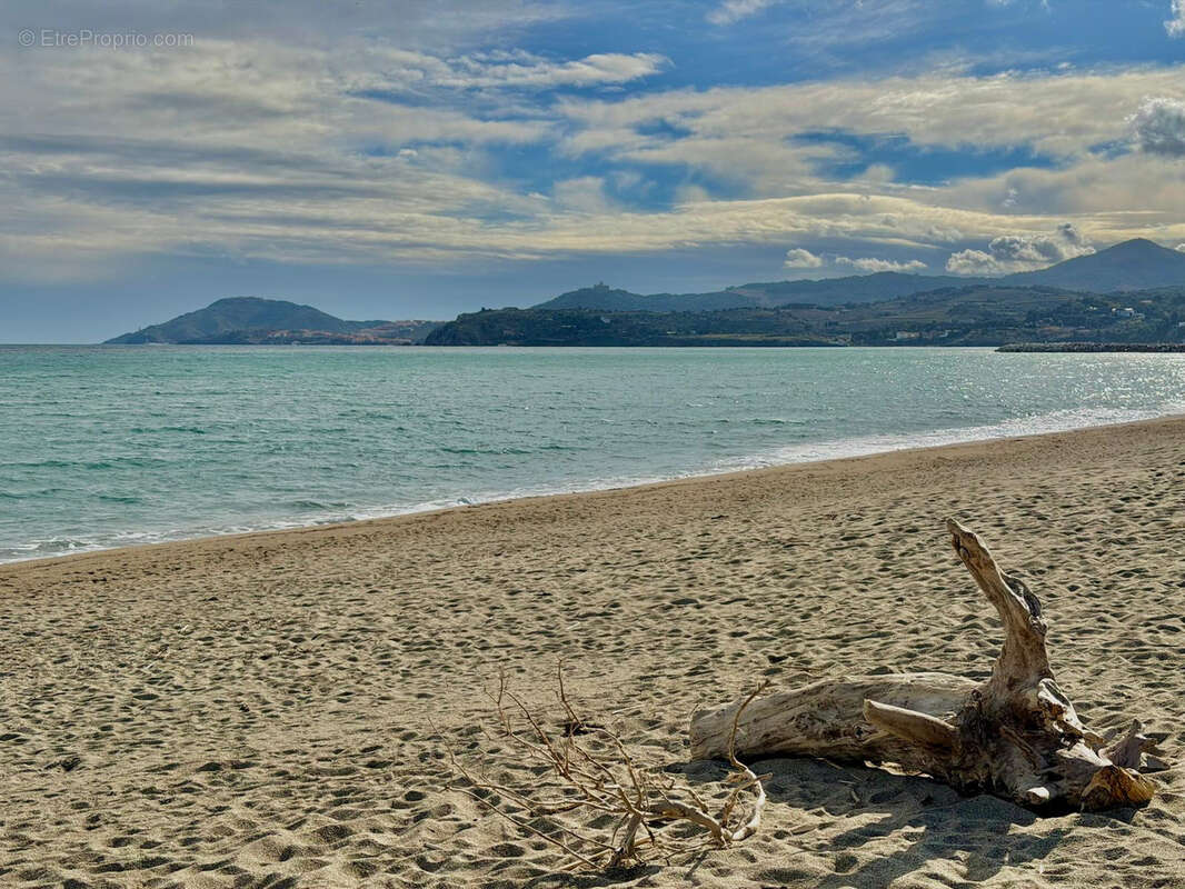 Appartement à ARGELES-SUR-MER