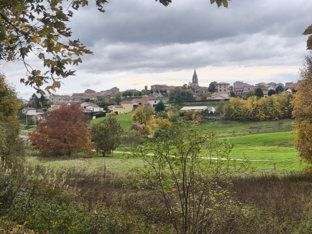 Appartement à SAINT-DIDIER-EN-VELAY