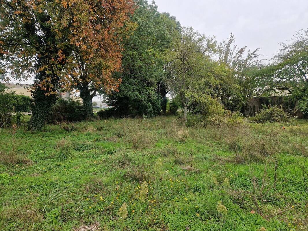 Terrain à SAINTE-MARIE-LA-BLANCHE