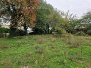 Terrain à SAINTE-MARIE-LA-BLANCHE