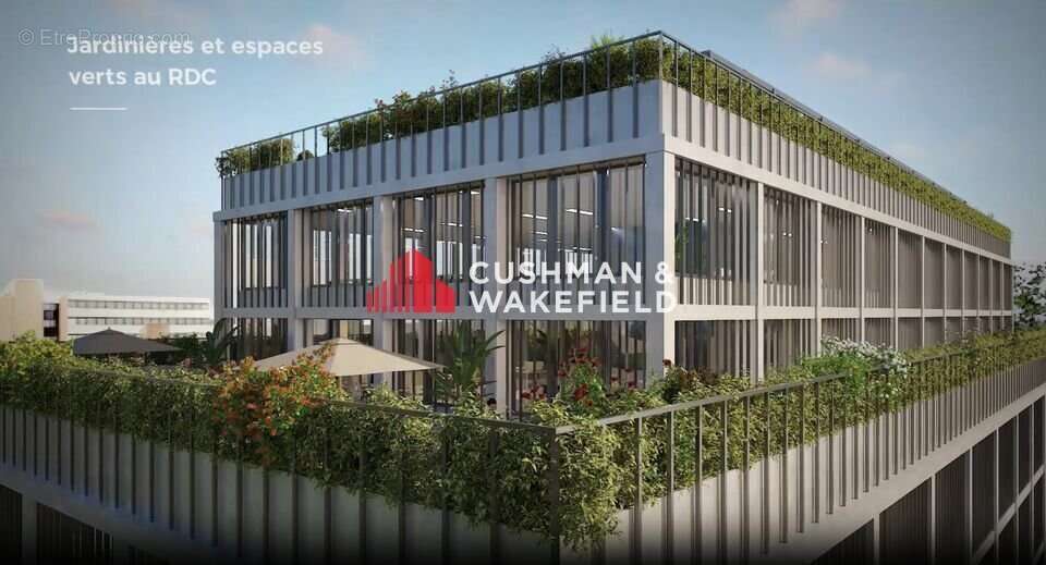 Commerce à TOULOUSE