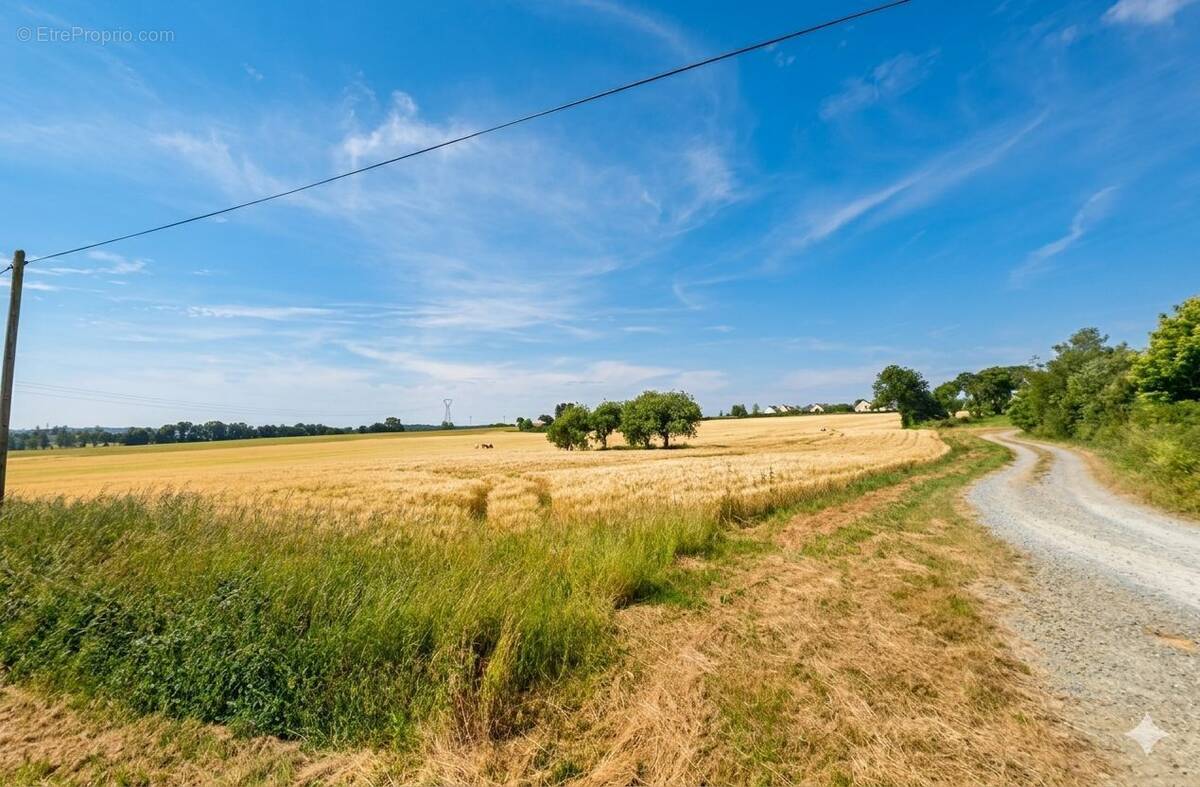 Terrain à CHANTELOUP