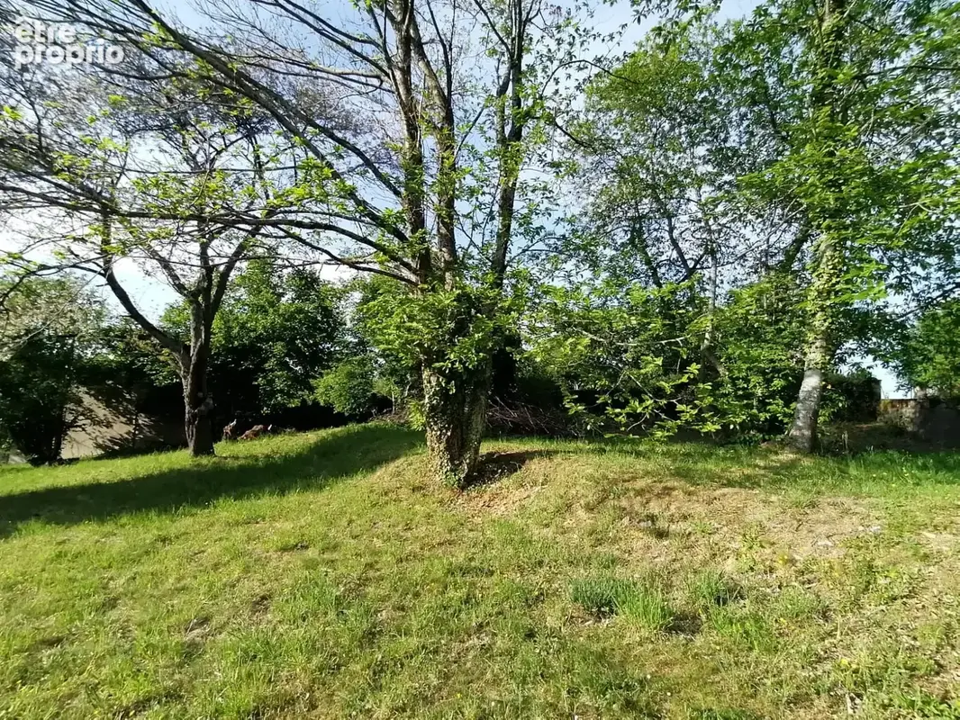 Terrain 1478 m² à La Souterraine  - photo 3