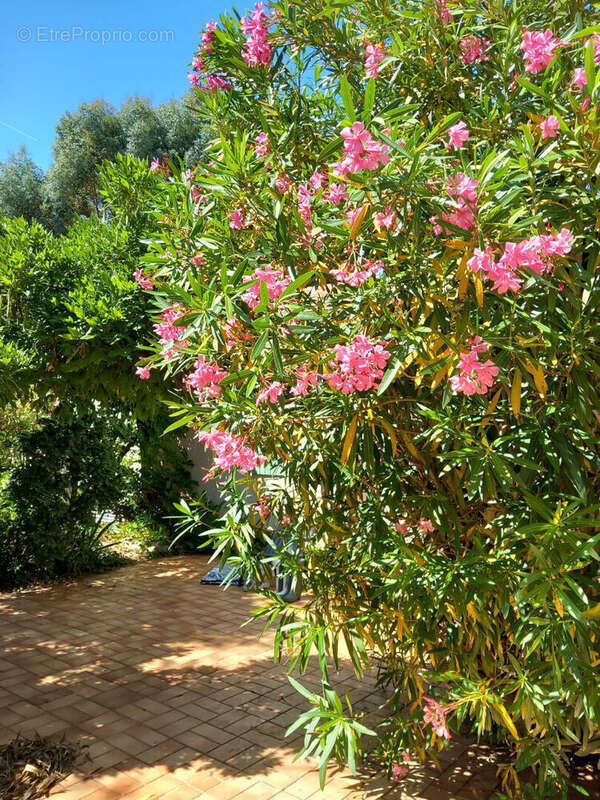 Maison à LES SABLES-D'OLONNE