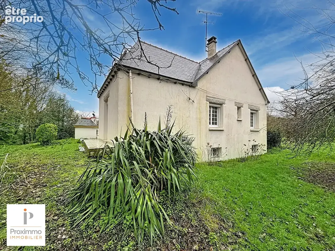 Maison Guipry-Messac 4 chambres terrain 1 hectare en pleine nature. - photo 3