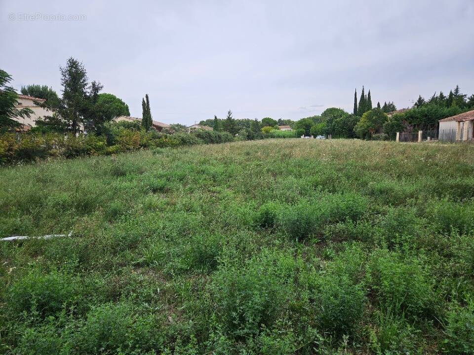 Terrain à FONTVIEILLE