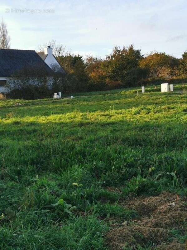 Photo 2 - Terrain à PERROS-GUIREC