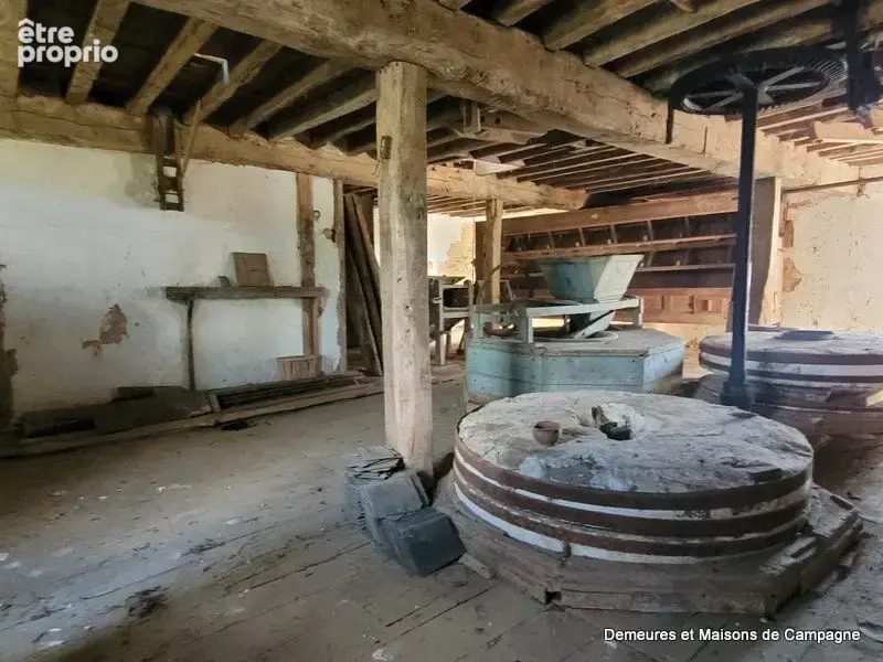 Maison 10 pièces 600 m² à vendre à Mantilly (61350) - photo 8