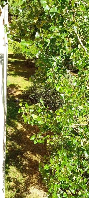 Appartement à MARSEILLE-12E