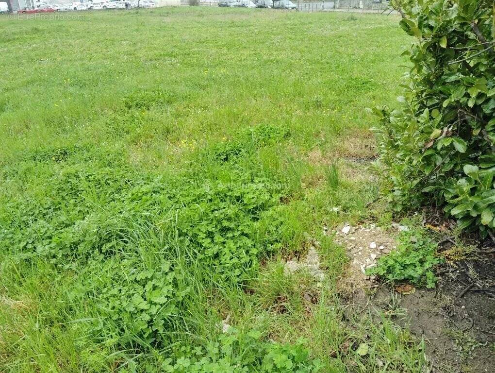 Terrain à LABOUTARIE