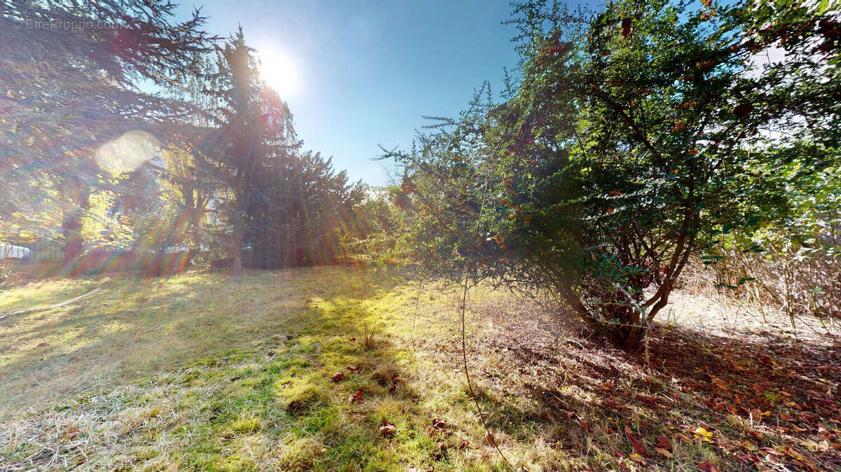 Terrain à BOIS-D&#039;ARCY