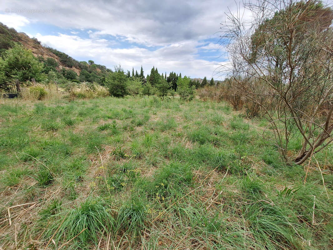 Terrain à ILLE-SUR-TET