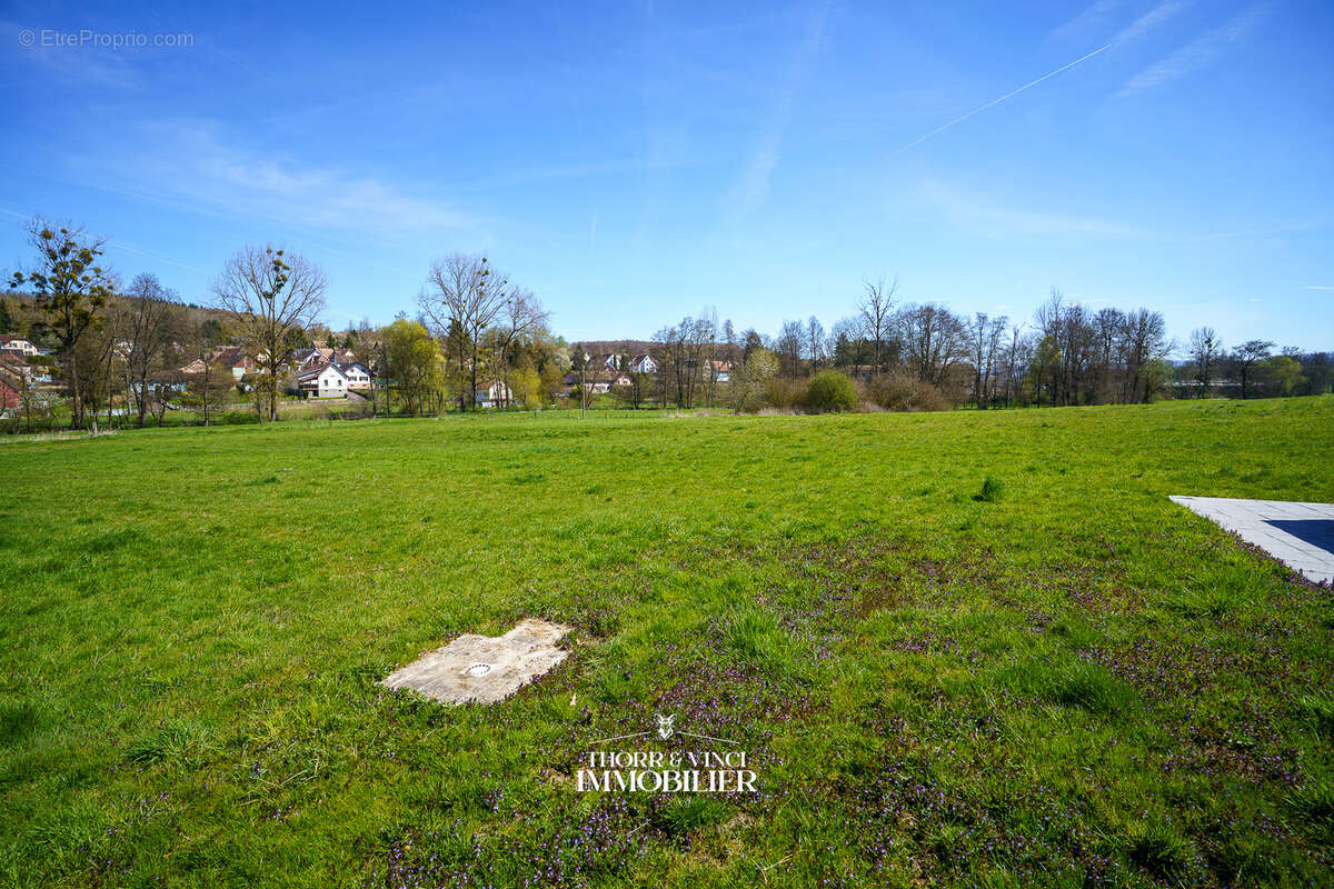 Autre à ROPPENTZWILLER