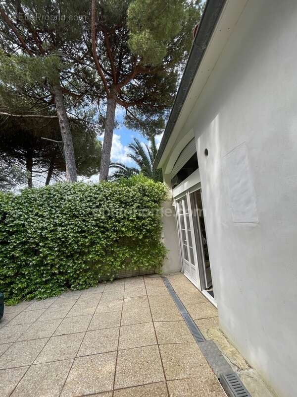 Maison à LE BOIS-PLAGE-EN-RE