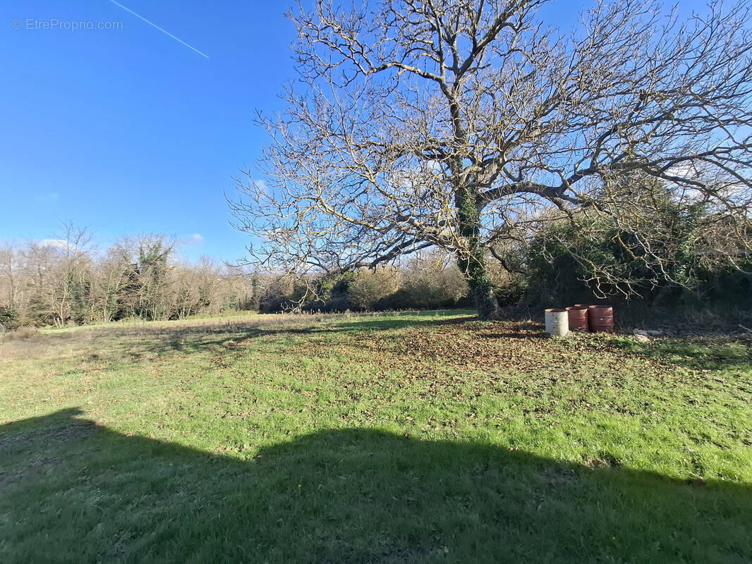 Terrain à CHEYSSIEU