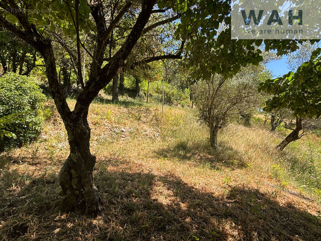 Maison avec dépendances à Alès 115m2 - photo 9