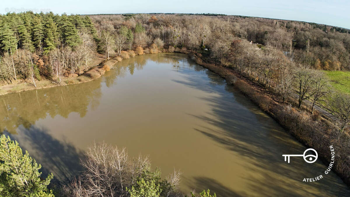 Terrain à NEUNG-SUR-BEUVRON