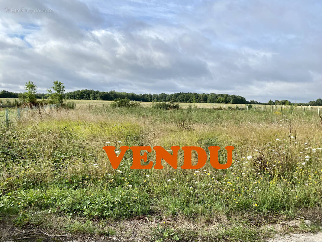 Terrain à SAINT-MAURICE-SAINT-GERMAIN