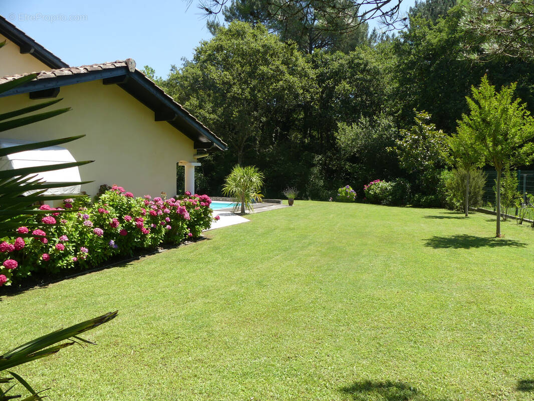 Maison à BIDART