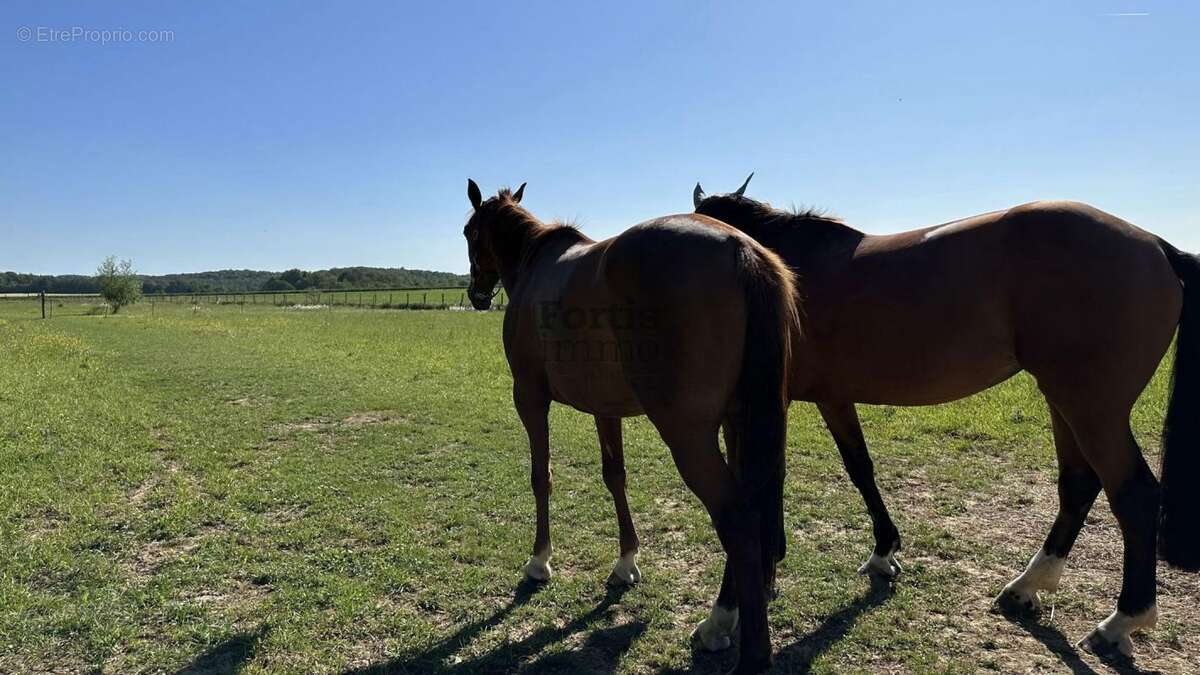 Maison à TORCY-EN-VALOIS