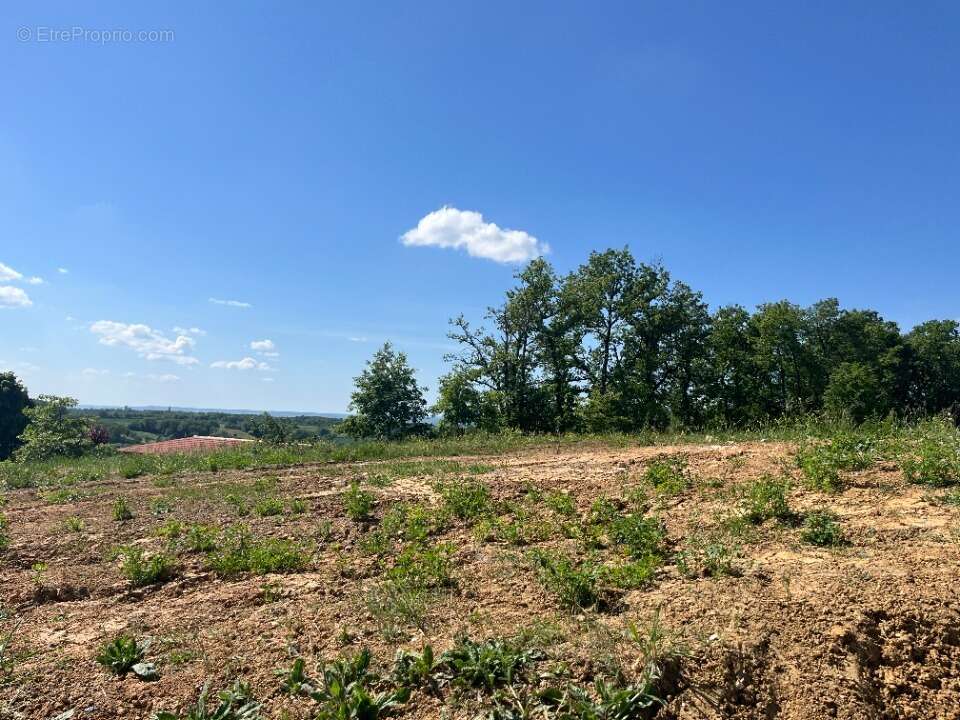 Terrain 635 m² à Rouffiac  - photo 3