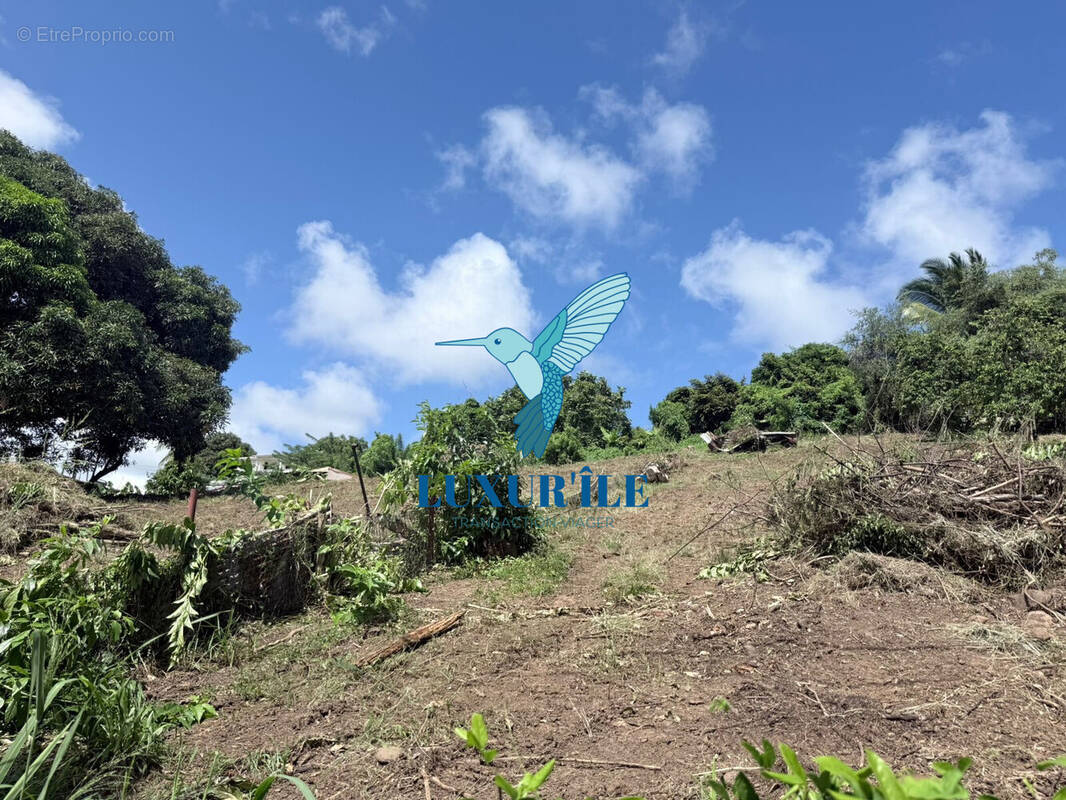 Terrain à LE FRANCOIS