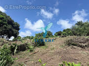 Terrain à LE FRANCOIS