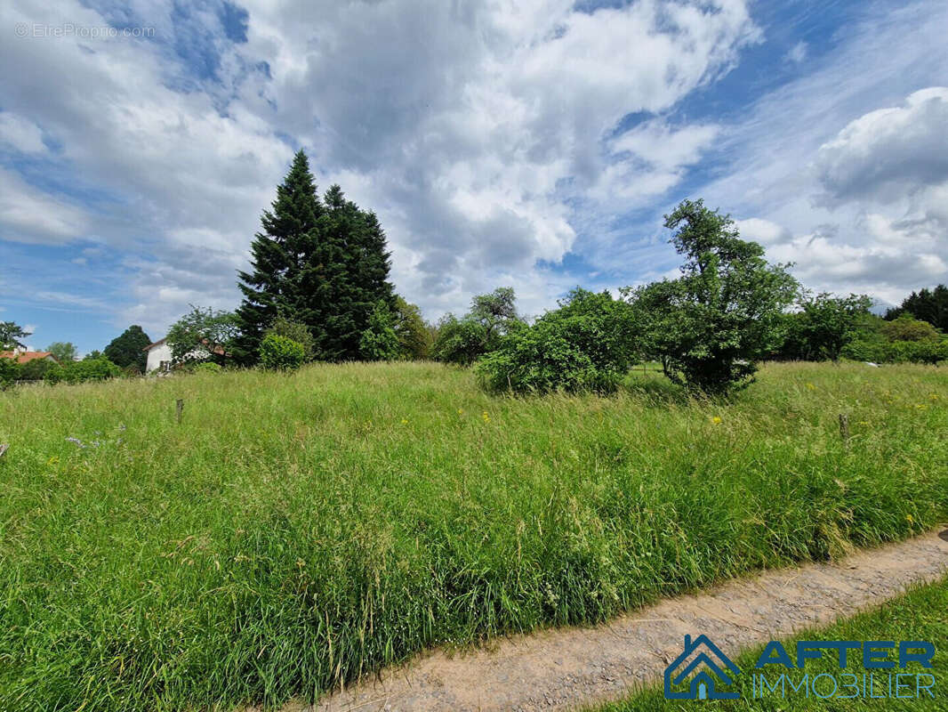 Terrain à BADONVILLER