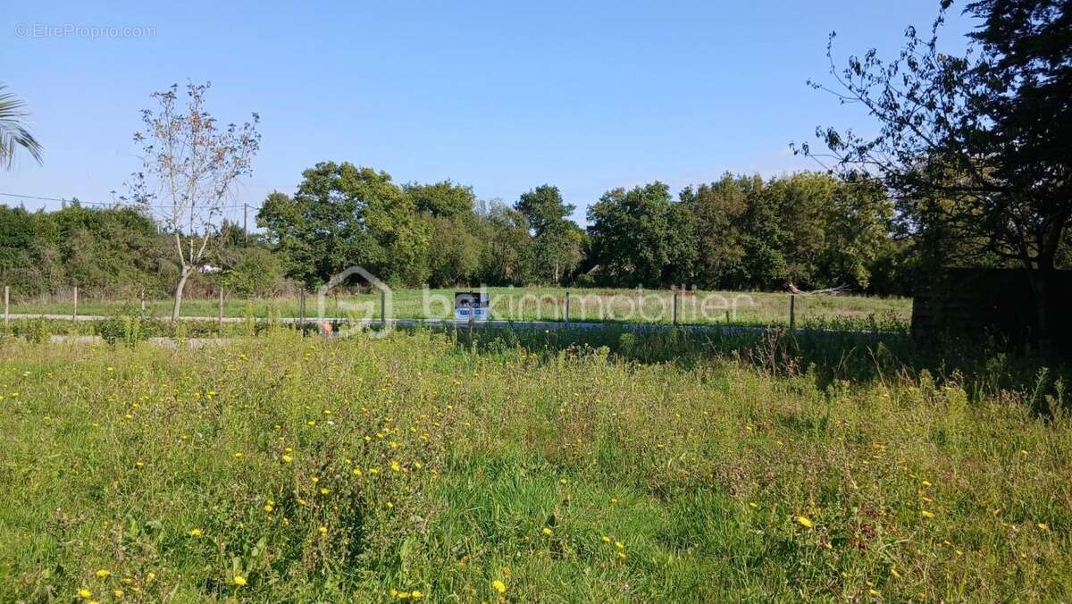 Terrain à SAINT-NAZAIRE