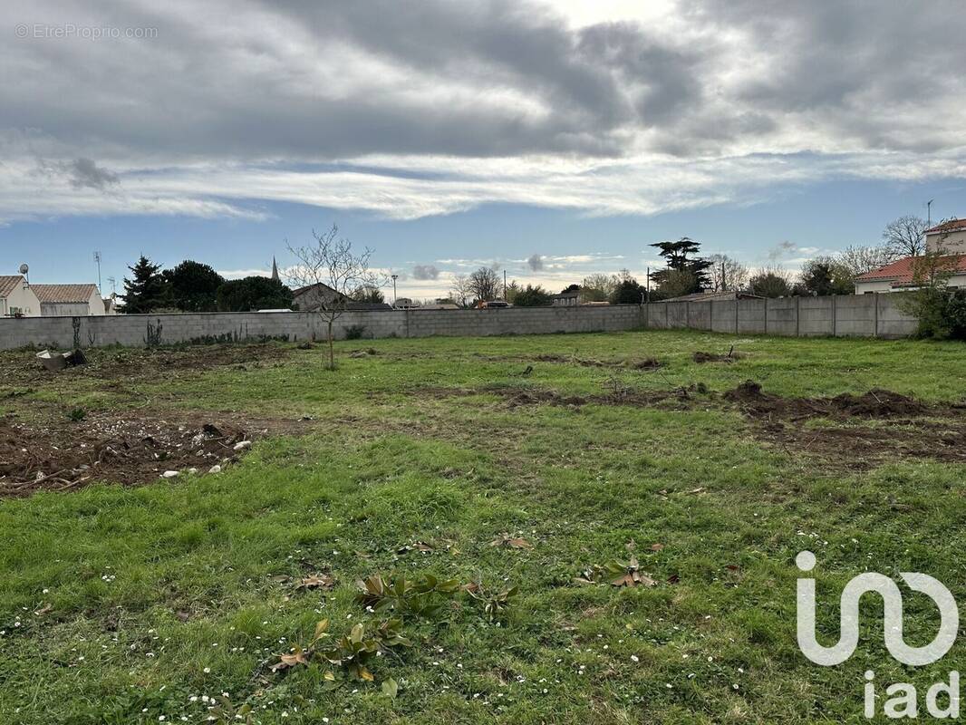 Photo 1 - Terrain à MARENNES