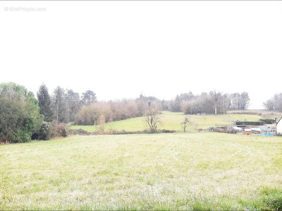 Terrain 5063 m² à Neuil  - photo 2